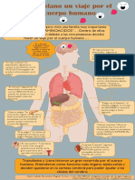 Infografia PDF