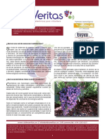 Sensores Inalambricos Viticultura. Riego PDF