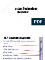 ESP1 Overview With Animation 08