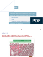 LESIONES_INTRAEPITELIALES_ESCAMOSAS.pdf