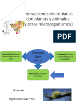 Interacciones Microbianas Con Plantas y Animales (Y Otros Microorganismos)