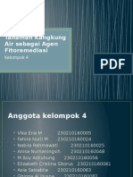 Fitoremediasi Kangkung Air