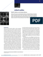 Hierarchical Zeolites: Valentin Valtchev and Svetlana Mintova