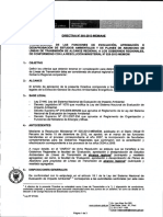 DIRECTIVA 001-2013-MEM-AAE - Transferencia Gobiernos Regionales PDF