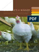 Everyone's A Winner Chicken Report