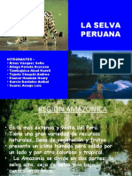 DIAPOSITIVAS DE REALIDAD PERUANA-SELVA