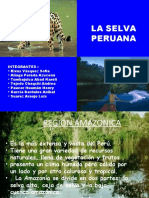 Diapositivas de Realidad Peruana-Selva