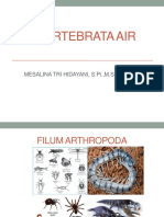 Filum Arthropoda PDF