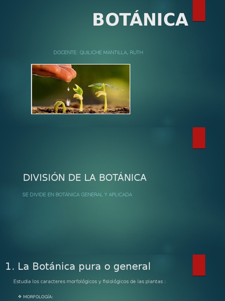 División y ramas de la botánica | PDF | Botánica | Plantas