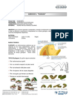 Taller 5 Pliegues