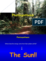Photosynthesis 5