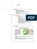 Anexo Lengua PDF