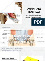 Conducto Inguinal