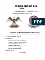 calicata laboratorio de suelos 2020.docx