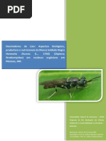 Dissertação_Nelson Poli