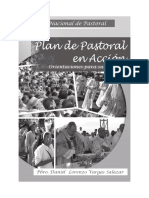 LIBRO PLAN DE PASTORAL EN ACCION.pdf