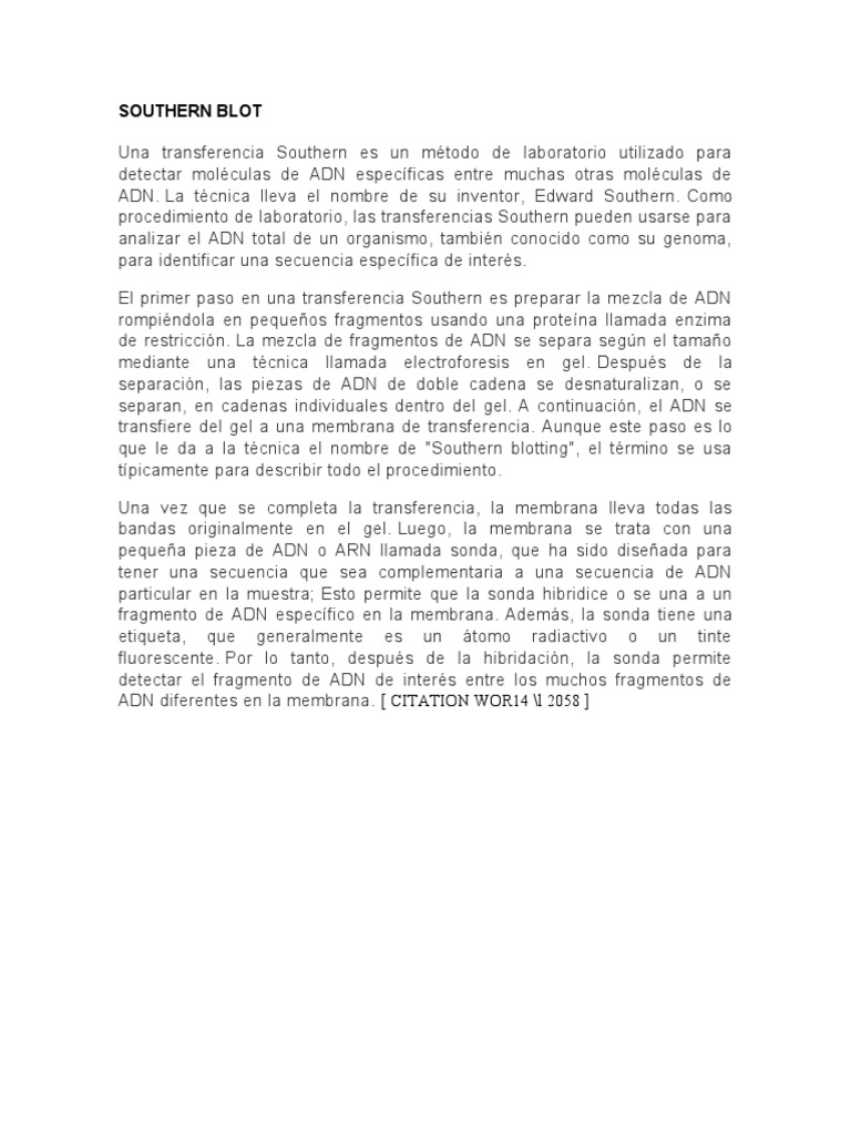 Southern Blot PDF Southern Blot Adn