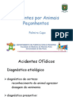 Acidentes Por Animais Peçonhentos 2019