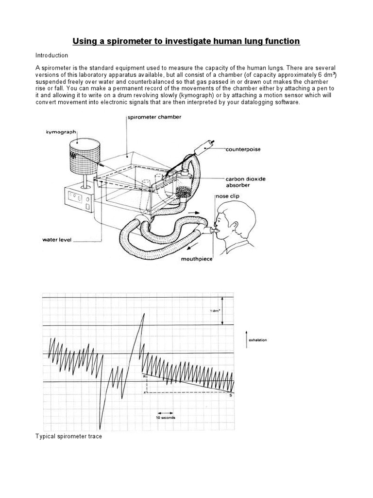 Using A Spirometer To Investigate Human Lung Function | PDF ...