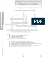 Avanza Ciencias 4 Actividades de Refuerzo PDF