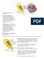 DNA, The Genetic Material