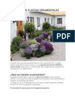 Tipos de Plantas Ornamentales