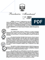 296-2020-IN (Aprobar La Directiva Denominada Lineamientos Operativos para La Implmentación de La Estrategia Multisectorial Barrio Seguro) PDF