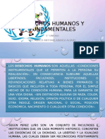 8 Derechos Humanos y Fundamentales 1