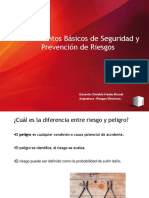 Riesgos 1 PDF