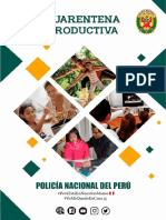 Cuarentena productiva PNP: actividades y recursos para el hogar