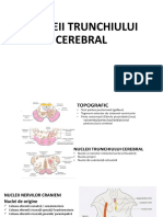 Nucleii Trunchiului Cerebral