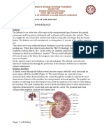 I. Clinical Discusion of The Disease 1. Anatomy and Physiology Kidneys