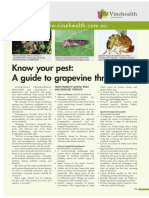 Know Your Pest: A Guide To Grapevine Threats