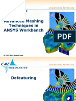 MEH - Advanced Techniques in ANSYS Workbench Meshing