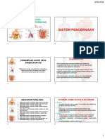 5 Sistem Pencernaan, Pernafasan dan Perkemihan_ppt5 IKD2