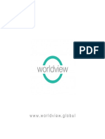 Worldview Profile PDF