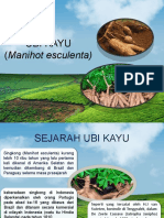 Ubi Kayu