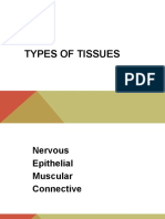 Epithelial Tissue