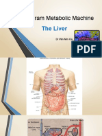 2nd MB Lecture (Liver)