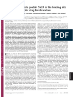 The Synaptic Vesicle Protein SV2A Is The Binding Site For The Antiepileptic Drug Levetiracetam