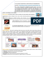 NIveles de Organizacion - Tema y Actividad6to