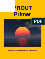 Prout Primer: Acarya Abhidevananda Avadhuta