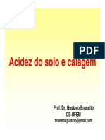 Aula 2-Acidez e calagem do solo.pdf