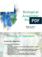 Biological Anaerobic Process Guide
