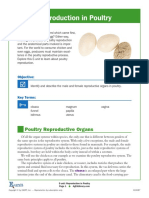 Reproduction in Poultry