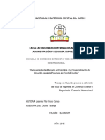 331 Oportunidades de Mercado en Colombia y La Comercializacion de Higuerilla Desde La Provincia Del Carchi PDF