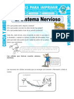 SISTEMA NERVIOSO.doc