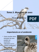 Monitoreo de Aves Ecologia