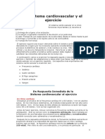 El sistema cardiovascular y el ejercicio