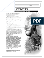 Ciências 4 Ano Fotossintese PDF